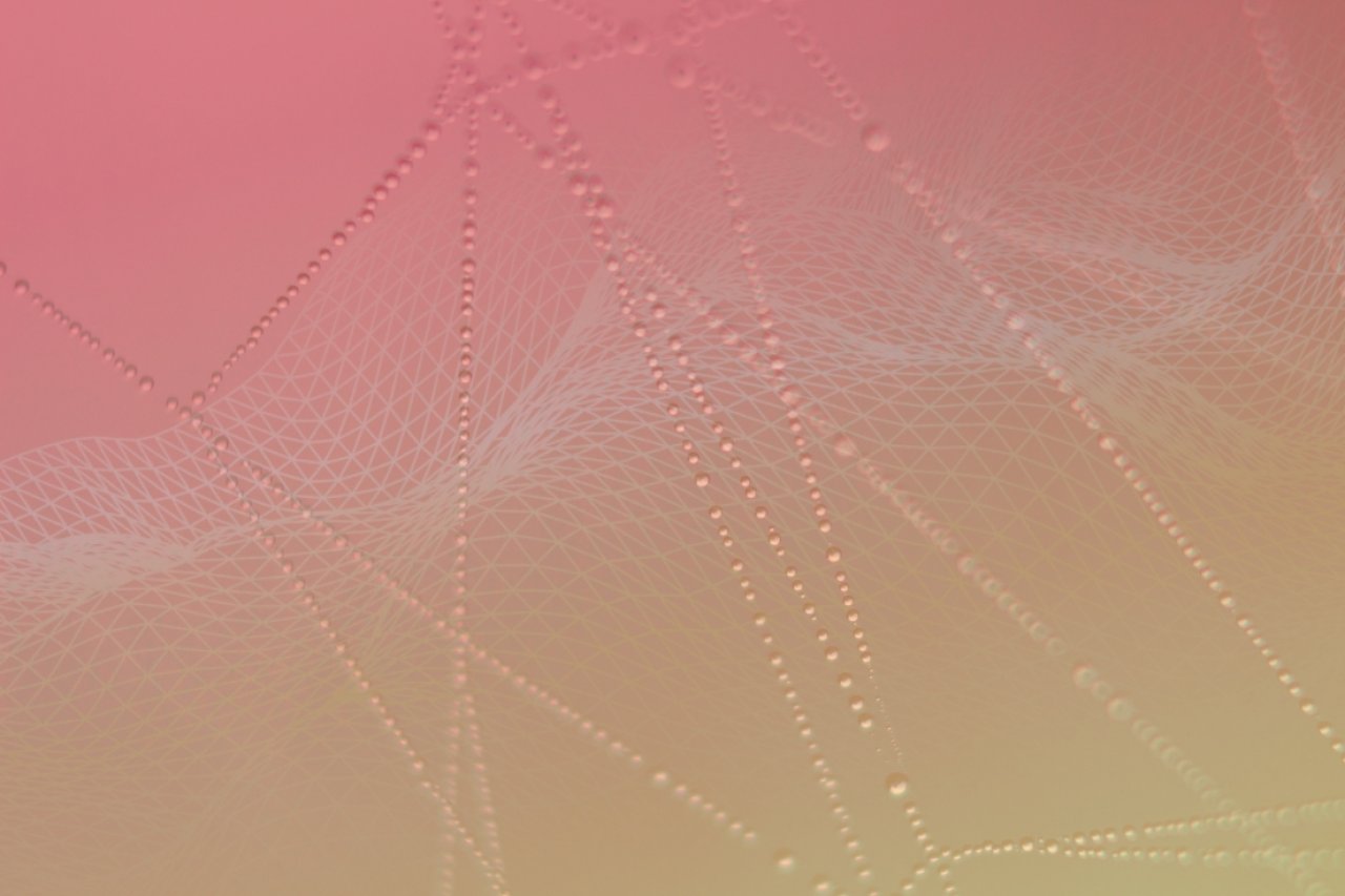 A data catalog powered by a knowledge graph, represented by an abstract image of a spiderweb covered in water droplets.