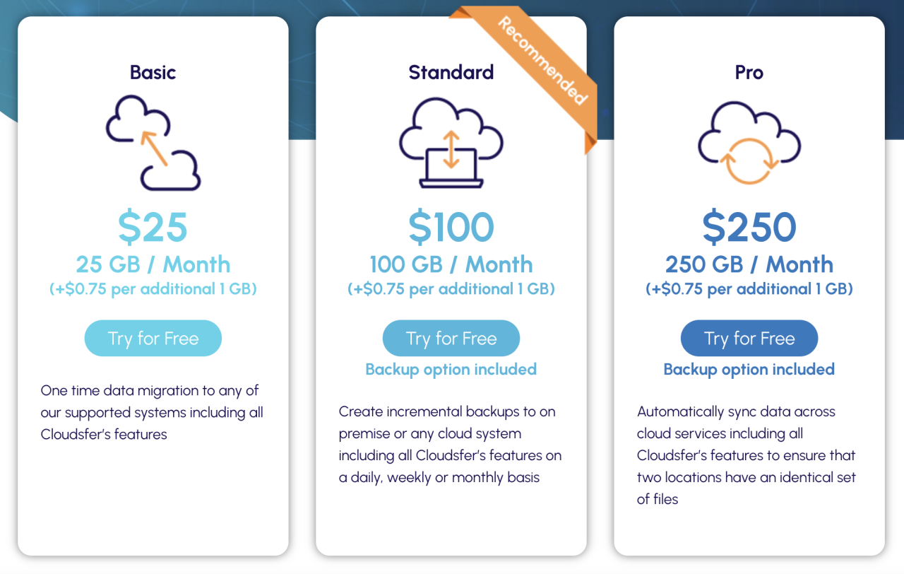 cloudsfer pricing options include basic for $25 per month, standard for $100 per month, and pro for $250 per month.